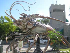 Lobster statue.