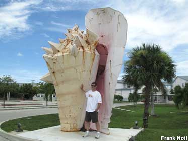 Giant Conch Shell.