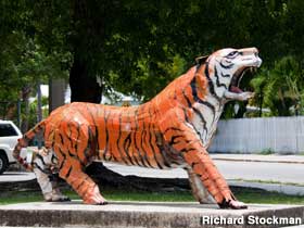 Tiger mascot statue.