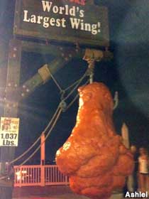 World's Largest Wing