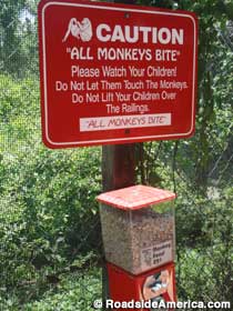 All Monkeys Bite sign and food dispenser.