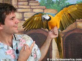 Patrick the trainer and Rio the macaw.