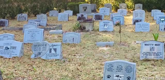 Pet Cemetery.