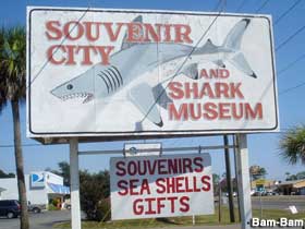 Souvenir City and Shark Museum