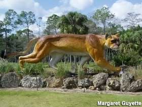Panther statue.