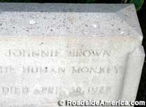 Human Monkey grave.