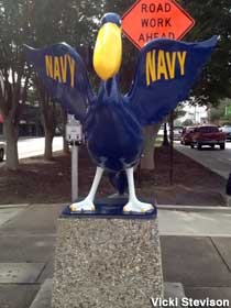 Navy Pelican.