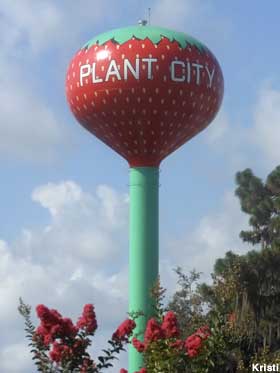Strawberry Water Tower.