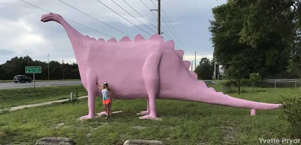 Pink Dinosaur.