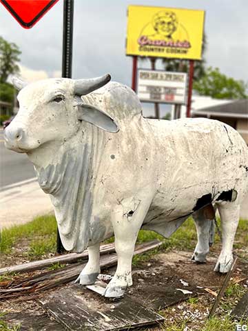 Brahman bull statue.