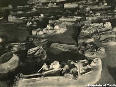 Timucuan grave pit was reburied in 1991. An estimated 1,000 skeletons lie beneath the surface.
