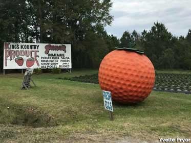 Golf ball as an orange.