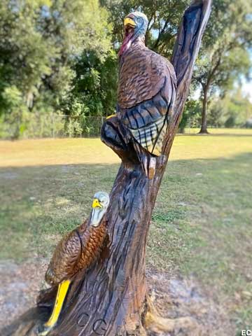 Turkey tree carving.