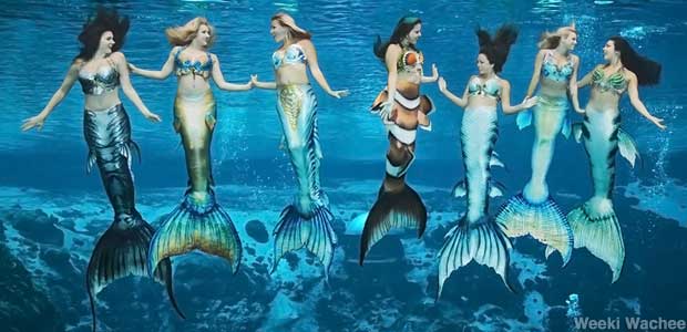 Improved tail technology makes it easier - but not easy - to be a modern mermaid.