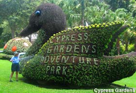Topiary sign.