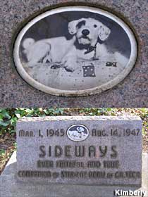 Grave of Sideways the Dog