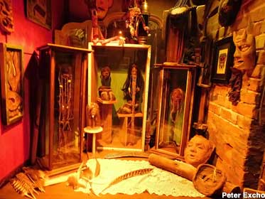 Showcases filled with shrunken heads.