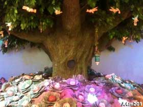 Babyland's Magic Crystal Tree.