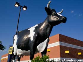 Kadie the Cow, Columbus, GA.