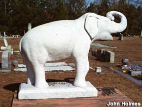 Baby elephant grave monument.