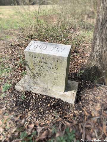 Grave of Old Fly, buggy mule.