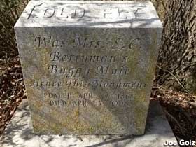 Grave of Old FLy, buggy mule.