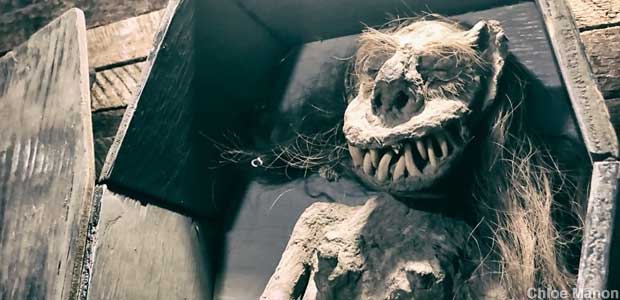 Smiling resident of the Graveface Museum.