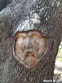 Tree spirit.