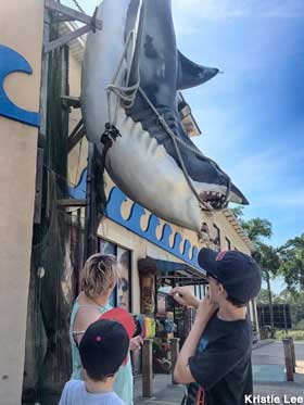 Great White Shark Catch statue.