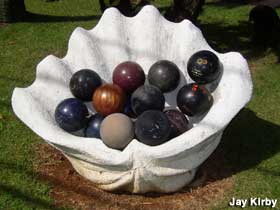 Bowling balls in clam shell
