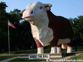 Albert the Bull looks out towards the highway.