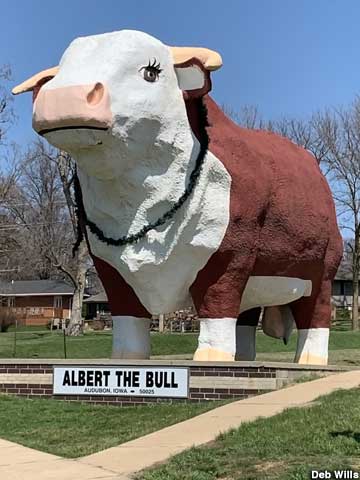 Albert the Bull.