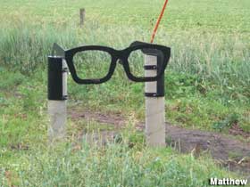 Glasses.