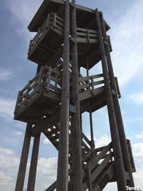 Observation tower.