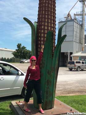 Giant corn.
