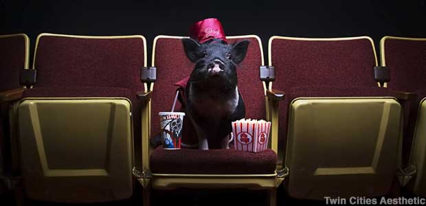 Joy the pig in her usher's uniform and hat.
