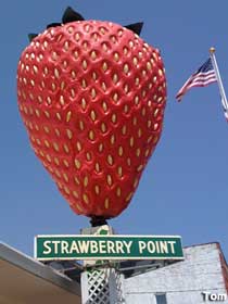 World's Largest Strawberry.