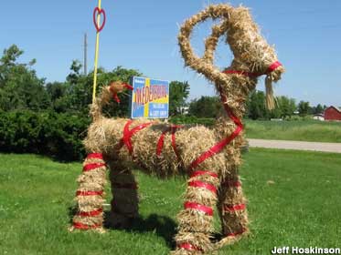 Straw Goat of Swedesburg.