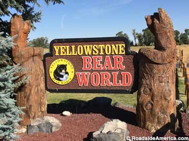 Yellowstone Bear World.