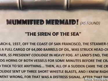Mermaid sign.