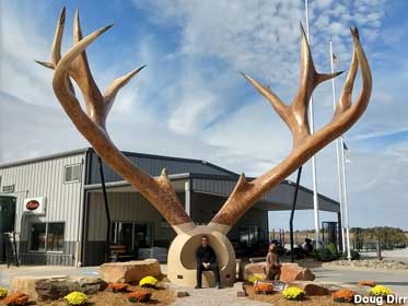Giant antlers.