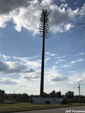Cellular tree tower.