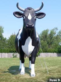 Giant cow.