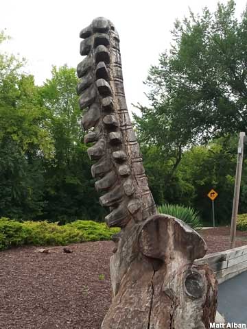 Dead tree spine art.