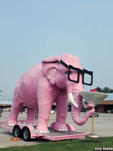 Pinky the Elephant.