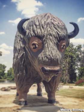 Buffalo statue.