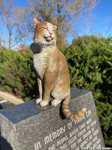 Pirate Cat Memorial.