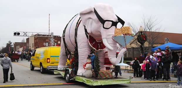 Elephant in parade.