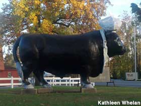 Bull statue.