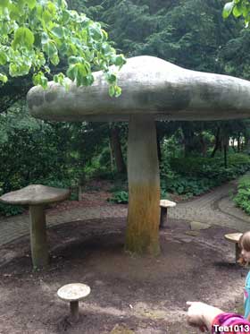 Giant mushroom.